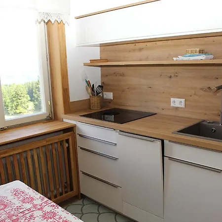Fingerlos Apartment *