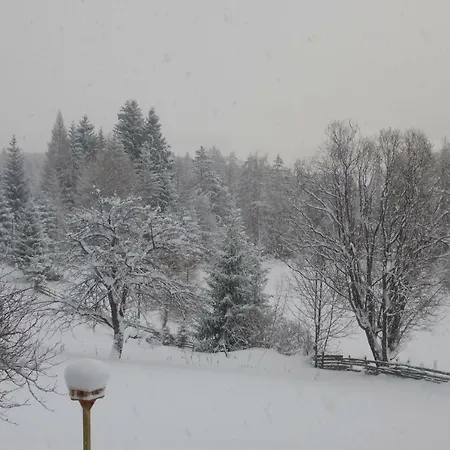 Fingerlos Mauterndorf (Salzburg)