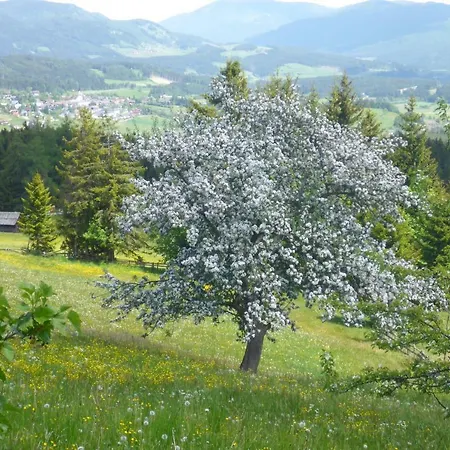 Fingerlos Mauterndorf (Salzburg)