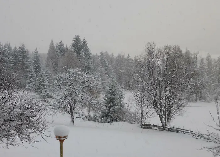 Fingerlos Mauterndorf (Salzburg)