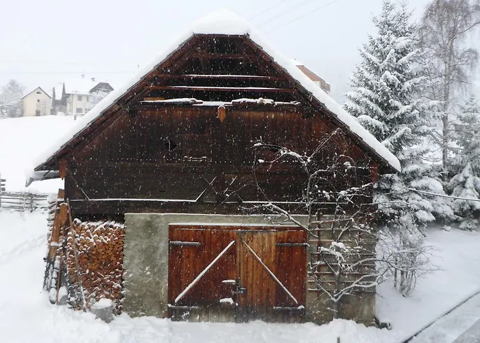 Appartement Fingerlos Mauterndorf (Salzburg)
