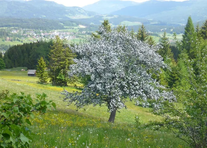 Fingerlos Mauterndorf (Salzburg)